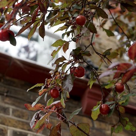Beautiful London Home Sleeps 6, 2 Minutes To Metro Buitenkant foto