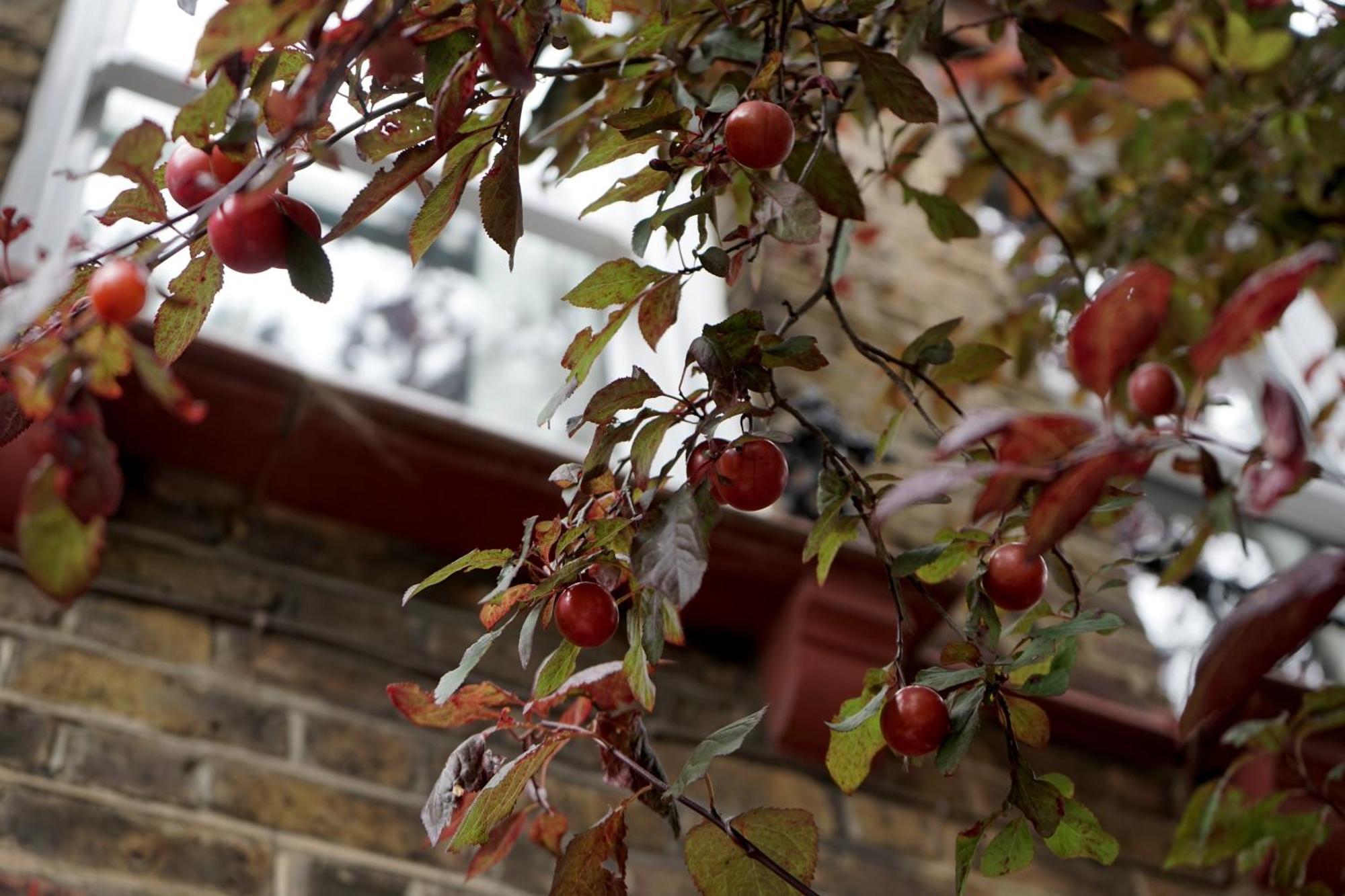 Beautiful London Home Sleeps 6, 2 Minutes To Metro Buitenkant foto