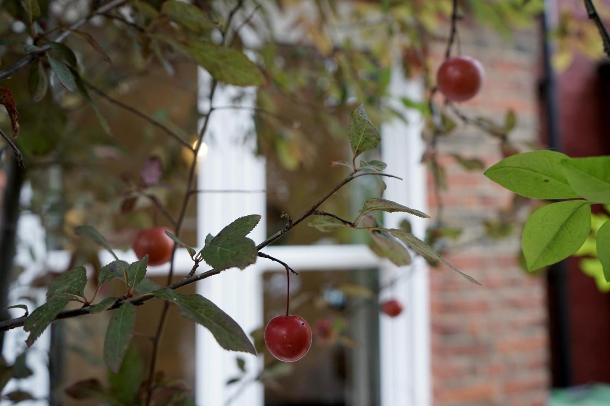 Beautiful London Home Sleeps 6, 2 Minutes To Metro Buitenkant foto